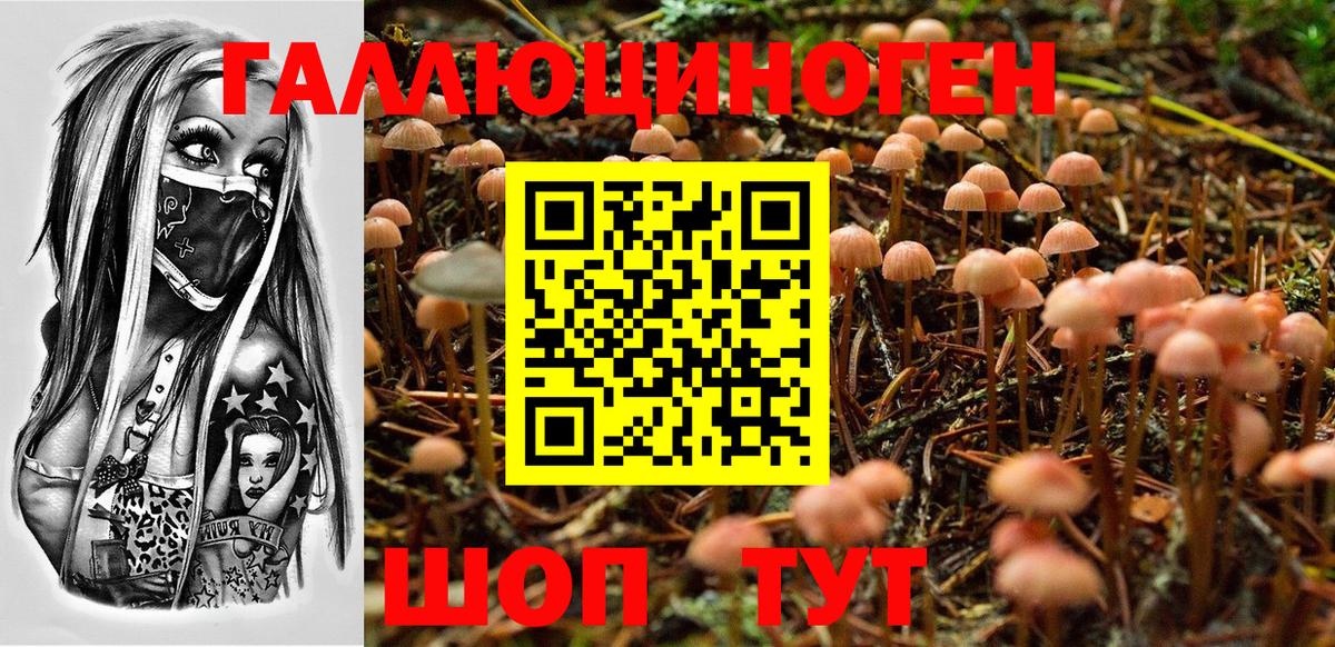 Галлюциногенные грибы MAGIC MUSHROOMS Магадан