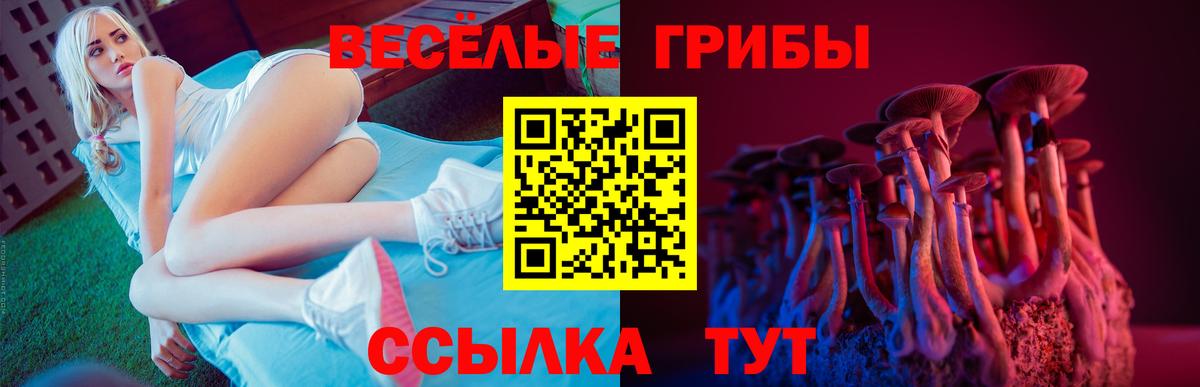 Галлюциногенные грибы MAGIC MUSHROOMS  Вход с VPN  Магадан 